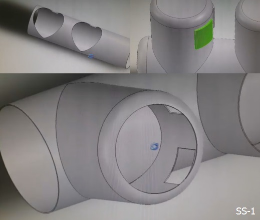 SS1 Model